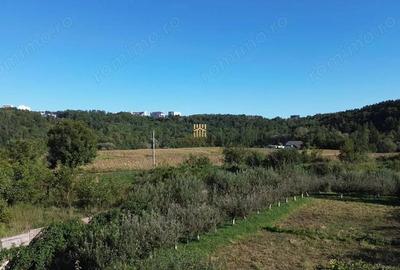 Teren de 1594 mp, în Șcheia - 5