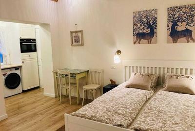 Casă cu 2 camere decomandat în Horea - 5