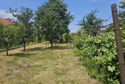 Teren de 455 mp, în Letea Veche - 9