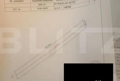 Teren de 8600 mp, în Vetiș - 1