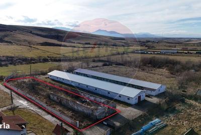 Spațiu comercial, în Teliu - 1