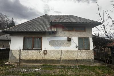 Casă cu 3 camere cu Teren 3440 Mp în Central - 1