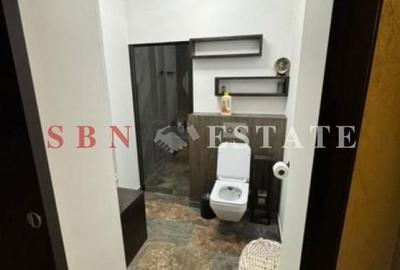 Apartament cu 3 camere decomandat în Parcul Carol - 10