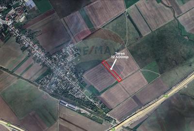 Teren agricol extravilan de 12500 mp, în Dumbrava - 2