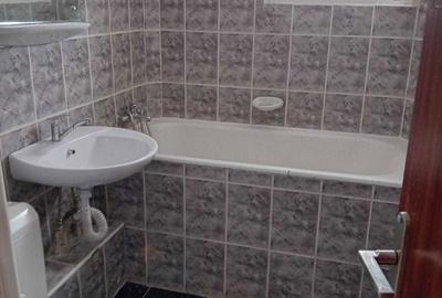 Apartament cu 3 camere în Nufărul - 7