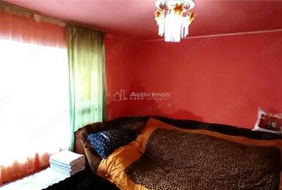 MOLDOVA NOUA, Casa 3 camere, Suprafata totala teren: 274 mp - 9