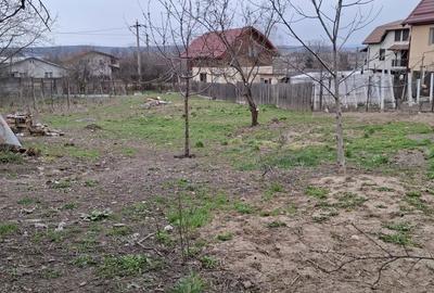 Casă cu 2 camere în Boldești - 3