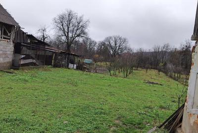 Casă cu 4 camere în Valea Siliștii - 3