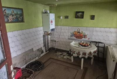 Casă cu Teren 489 Mp în Plopi - 3