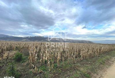 Teren de 3400 mp, în Central
