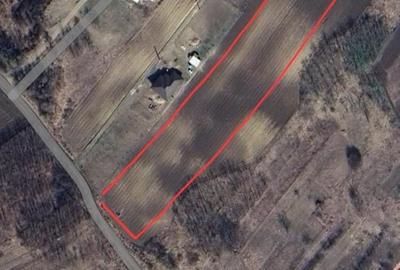 Teren intravilan 5000 mp  com. Rediu - 1