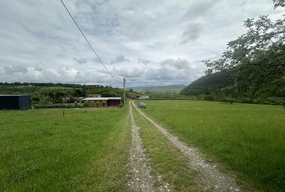 Teren agricol extravilan de 2000 mp, în Fântânele - 4