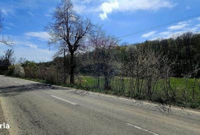 Spațiu comercial, în Mânăstirea Neamț - 10