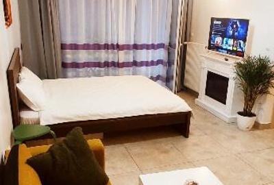 Studio situat in complex rezidential cu centru SPA - 1