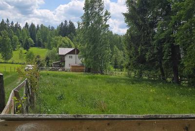 Teren de 800 mp, în Râșca - 4