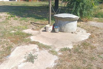 Casă cu 3 camere în Albina - 6