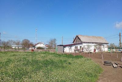 Casă cu 3 camere cu Teren 3200 Mp în Plopeni - 2