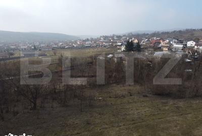 Teren de 3470 mp, în Ocnița - 16