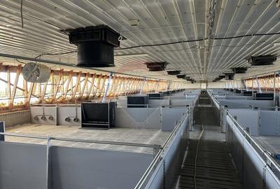 Spațiu industrial, de 5,000 mp, în Tișița - 6