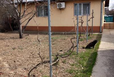 Casă cu Teren 1004 Mp în Central - 4