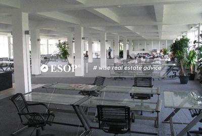 Birou, de 3,091 mp, în Pantelimon - 8