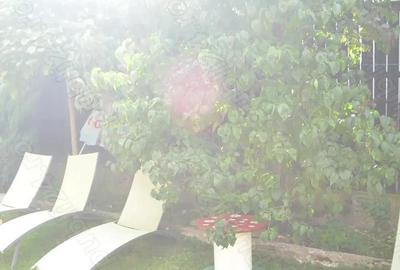 Casa ta la munte te asteapta - 3