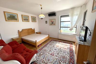 Cernica, Pantelimon, langa padurea Cernica - 11