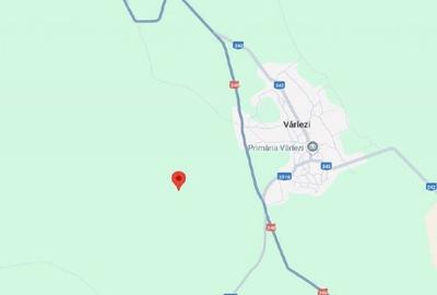 Teren de 6000 mp, în Vârlezi - 4