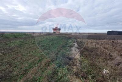 Casă cu Teren 1079 Mp în Petroasa Mare - 13