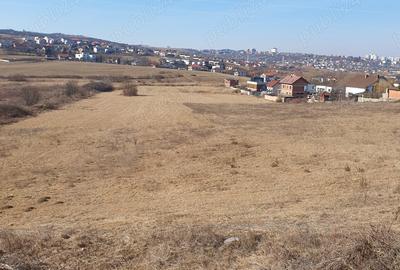 Teren de 5000 mp, în Borhanci - 2