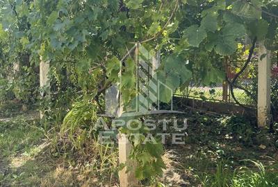 Casă cu 3 camere cu Canalizare în Bucovăț (Remetea Mare) - 5