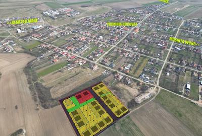 Teren Construcții intravilan de 500 mp, în Bucovăț (Remetea Mare) - 2