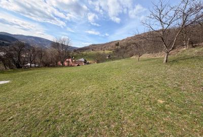 Spațiu comercial, în Central - 2