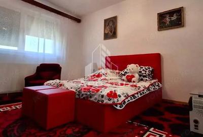 Casa de vanzare in Ineu formata din 2 cladiri - 2