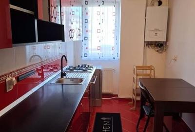 Apartament cu 2 camere decomandat, mobilat în Turnișor - 3