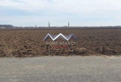 Parcelă teren 433 mp lângă pădure - 3