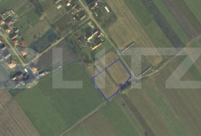 Teren de 4400 mp, în Vetiș - 1