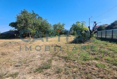 Teren Intravilan 6017 mp pentru Constructii Case Individuale, Duplexuri, Blocuri - 7