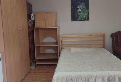 Garsonieră decomandată în Valea Lupului - 3