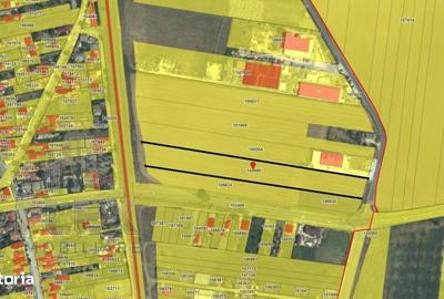 Teren de 10000 mp, în Lumina - 3