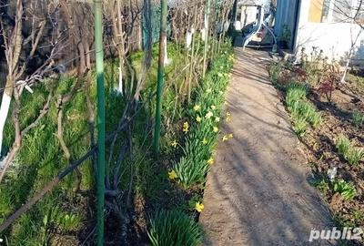 Casă cu 1 camere în Cotorca