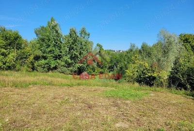 Teren intravilan in Poiana Campina 4285 mp parcelabil 11,6e - 2