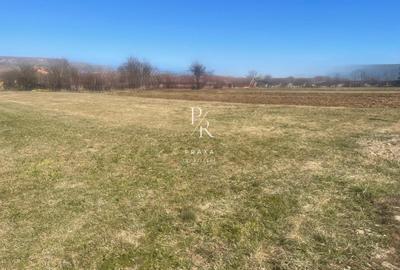 Teren Construcții intravilan de 1165 mp, în Florești - 2