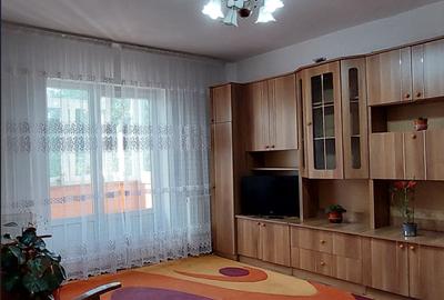 Apartament cu 2 camere semidecomandat, mobilat în Lunca Cetățuii - 6
