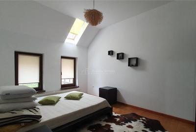 Casa individuala - 250 mp anexa - 10 ari teren - Scheia - 35