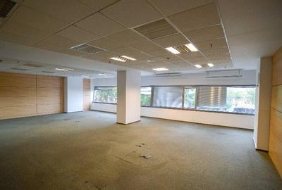 RAMS Business Center, Basarabia, 200 - 1753 mp  0% comision! - 15