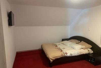 Cabana libera de Craciun ?i Revelion - 8