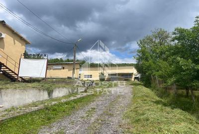 Spatii productie si depozitare, zona Sebis - Prunisor-Carand - 1