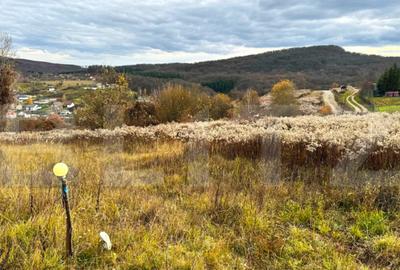 Teren extravilan de vanzare, 2400 mp, zona Valea Ghinzii - 10