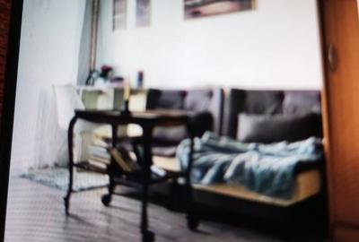 Dau in chirie garsoniera ultracentral Cluj-Napoca - 2